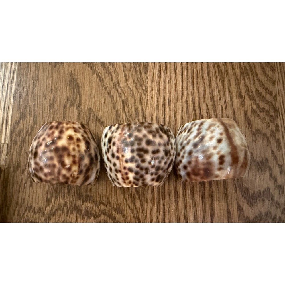 Vintage Tiger Cowrie Shell Napkin Ring Holder Set 3 Leopard Spot Nautical Decor